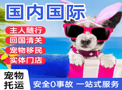 静巴空运国际宠物托运 【国